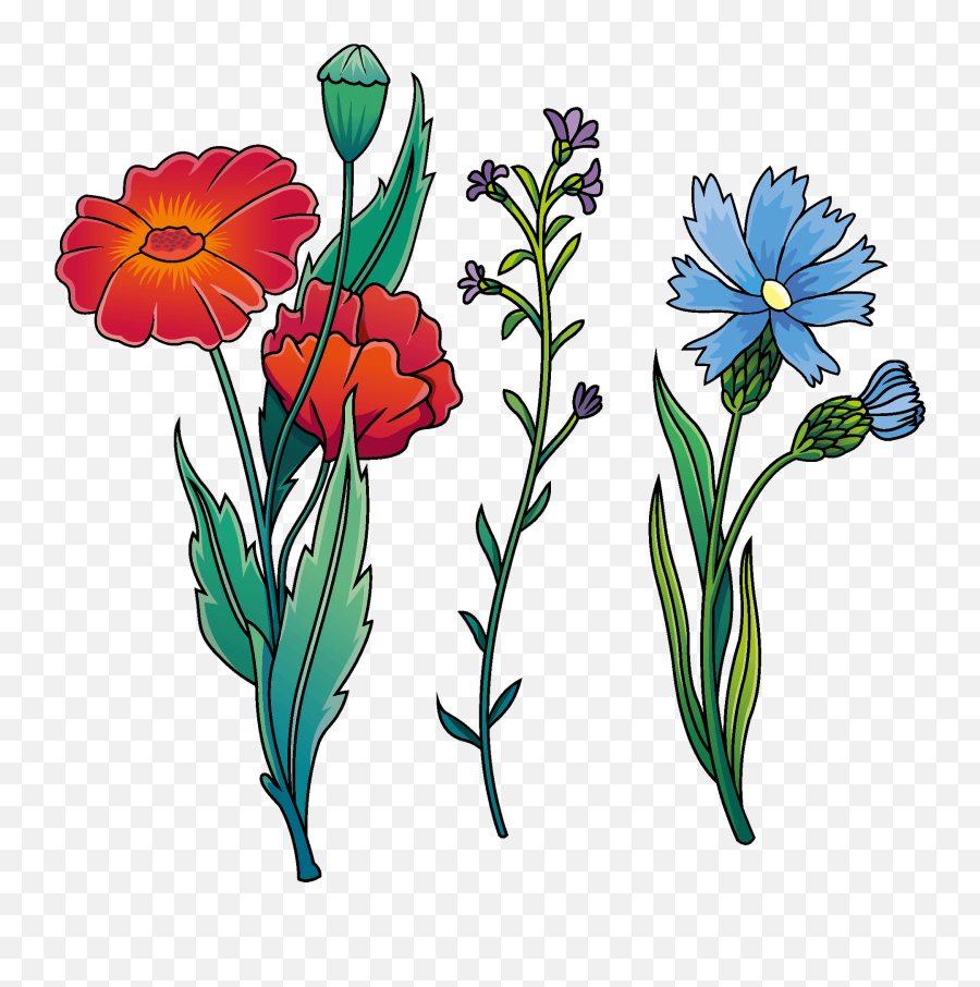 Wildflowers Clipart - Wildflowers Clipart Png,Wildflowers Png