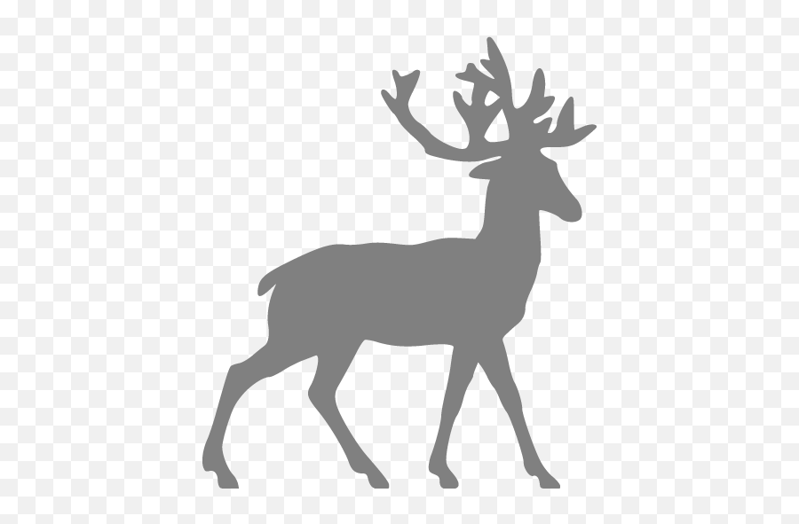 Gray Deer Icon - Free Gray Animal Icons Deer Silhouette Png,Reindeer Antlers Transparent