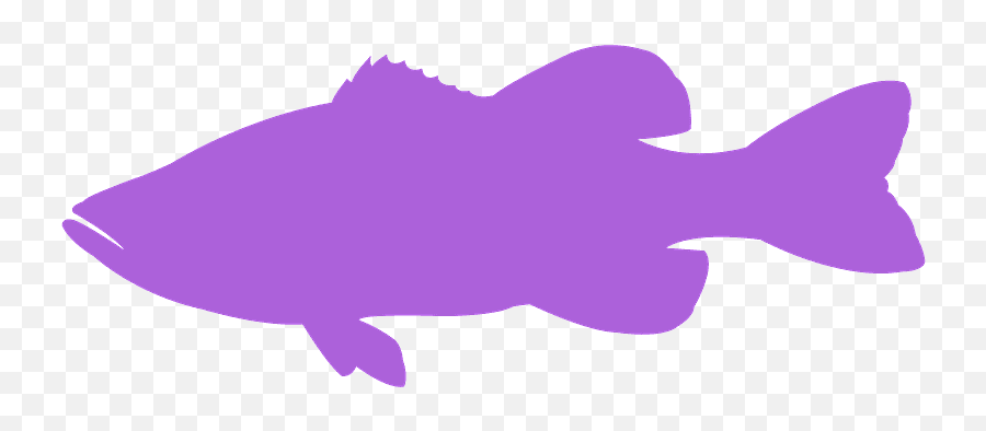 Largemouth Bass Silhouette - Free Vector Silhouettes Creazilla Snapper Png,Largemouth Bass Png