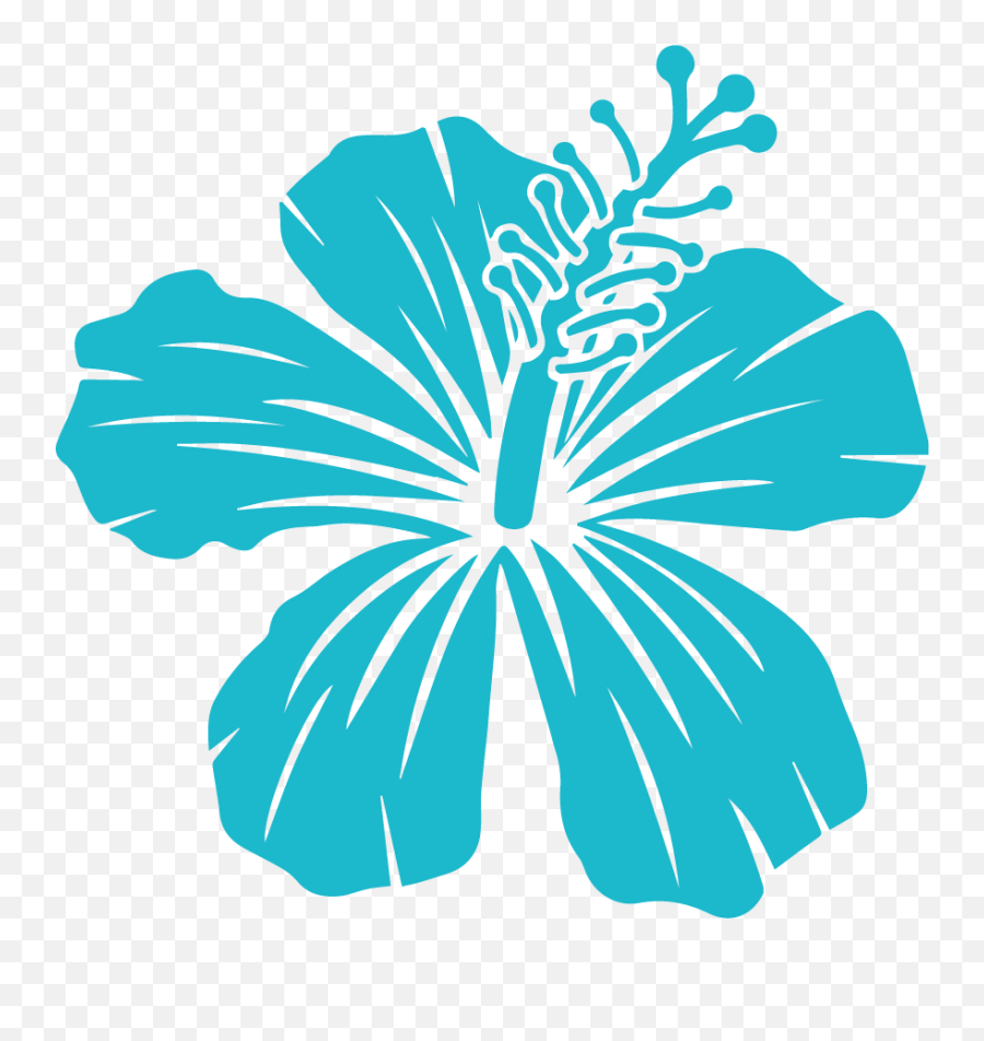 About Us - Hawaiian Hibiscus Png,Hawaiian Flower Icon
