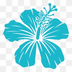 About Us - Hawaiian Hibiscus png
