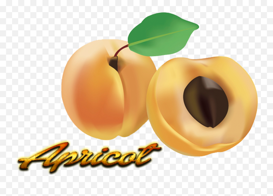 Apricot Png - Fruit Clipart Full Size Clipart 3587492 Fruit,Fruit Clipart Png
