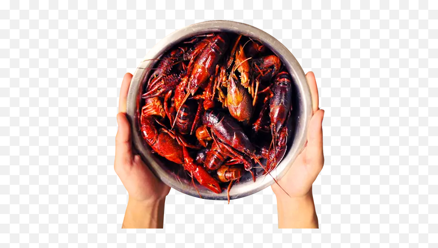 Houston Crawfish - Spicy Png,Crawfish Icon