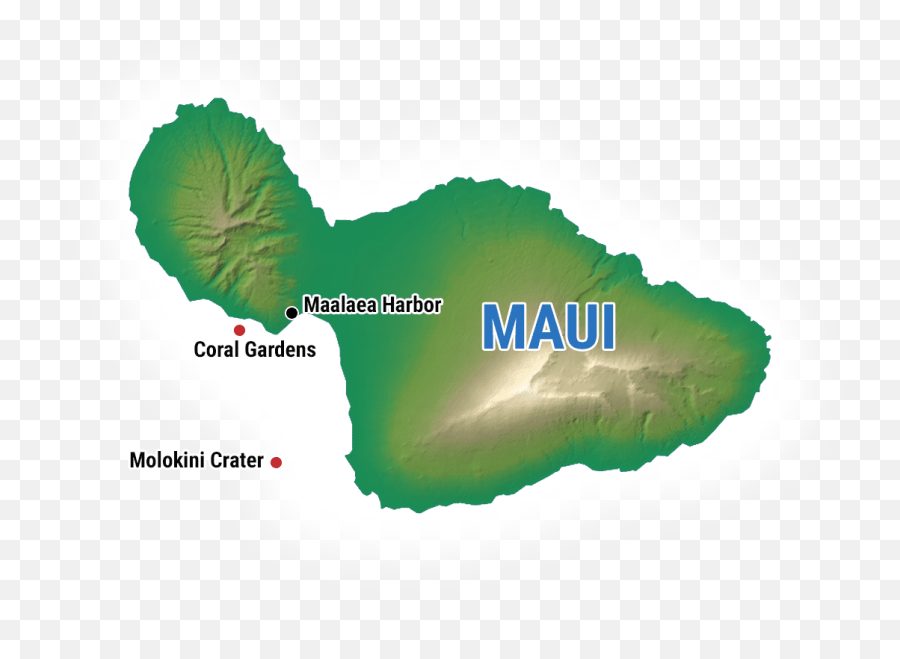 Maui Snorkeling - Molokini Crater U0026 Turtle Gardens Maui Map Png,Maui Icon