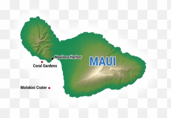 Maui Snorkeling - Molokini Crater u0026 Turtle Gardens Map Png