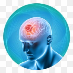 Cancer - Brain Tumor png