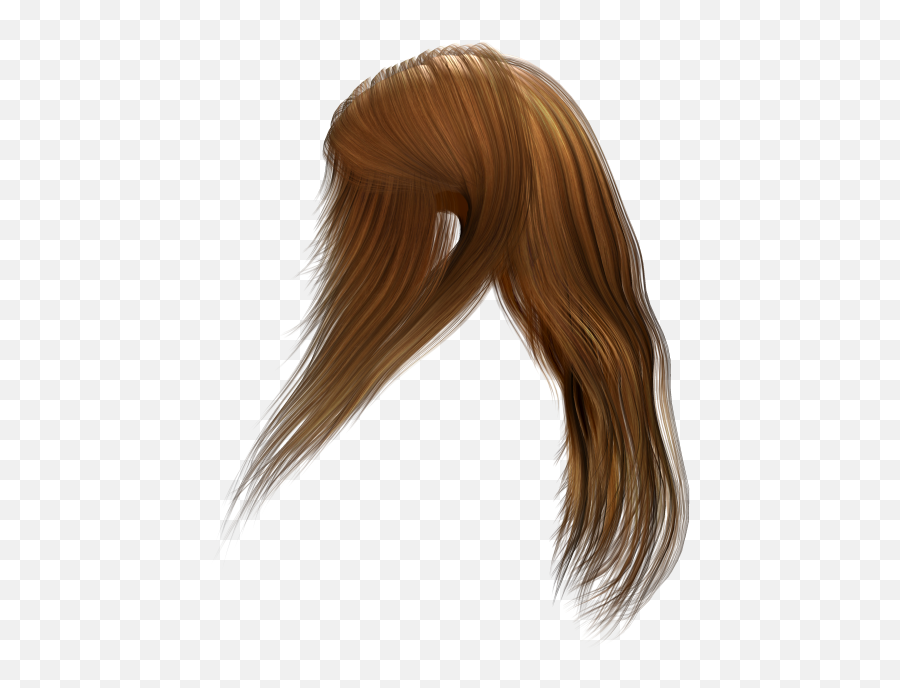 Hair Capelli Icon - Flowing Hair Png Download 500750 Long Hair From Back Png,Icon Hair Dye