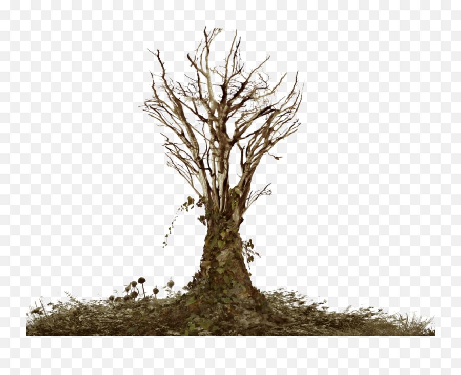 Dead Tree With Ivy Png Landsc - Dead Tree Png Hd,Ivy Png