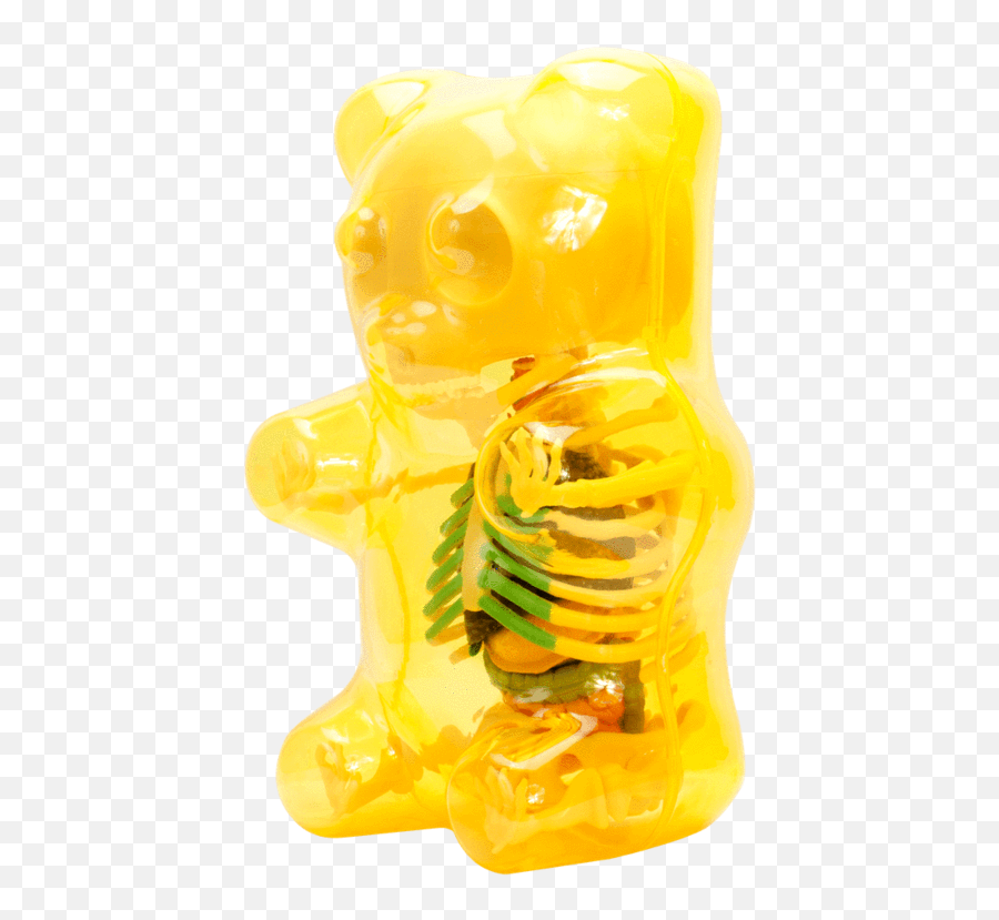 Clear Gummi Bear Funny Anatomy - Clear Gummi Bear Funny Anatomy Png,Gummy Bear Png