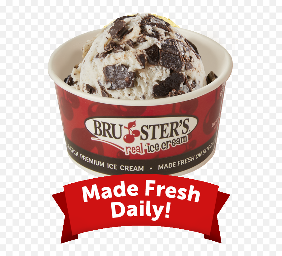 Chocolate Chip Non - Dairy W Oat Milk Brusters Brusters Ice Cream Png,Chocolate Chip Icon