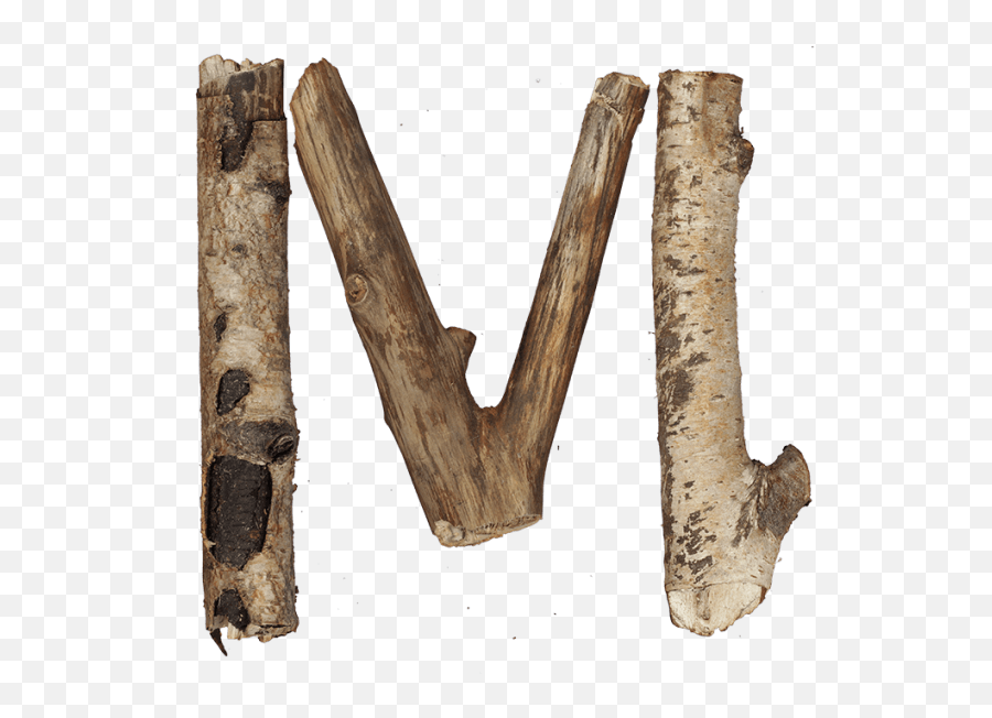 Dry Twigs Font - Wood Letters Png M,Twigs Png