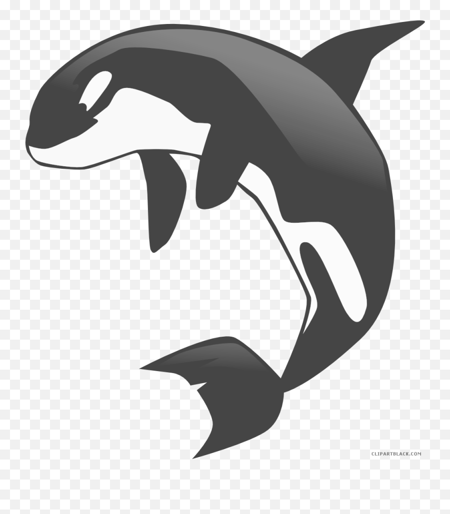 Whale Clipart Transparent Background - Killer Whale Clip Art Png,Orca Png