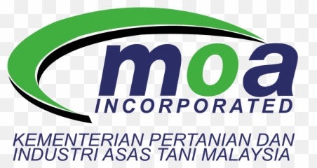 Asas Png - Graphic Design,Vectorise Png
