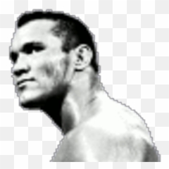 Randy Orton Team Randyortonteam Twitter - Human png