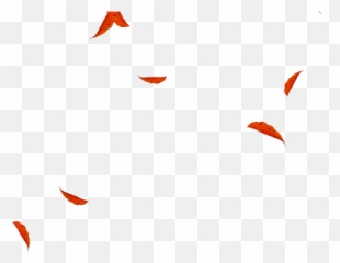 Autumn Leaves With Transparent Background Falling - Illustration png