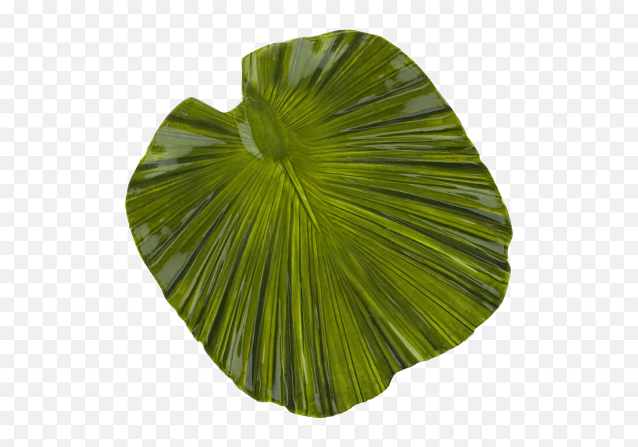 D873pl Tropicana Small Palm Leaf Plate 8u201d X 7 34u201d 1u201d H - Skirt Png,Palm Leaf Png