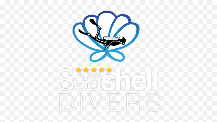 Seashell Divers - Padi Dive Center Koh Tao Thailand Clip Art Png,Seashell Transparent