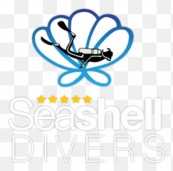 Seashell Divers - Padi Dive Center Koh Tao Thailand Clip Art Png,Seashell Transparent