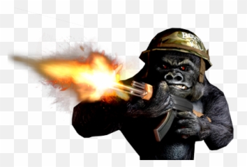 Index Of Images - Macaque Png,Gorilla Png