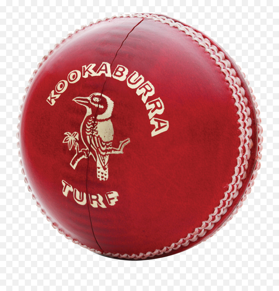 Cricket Ball Official Kookaburra Balls Information - Kookaburra Cricket Ball Price Png,Ball Transparent
