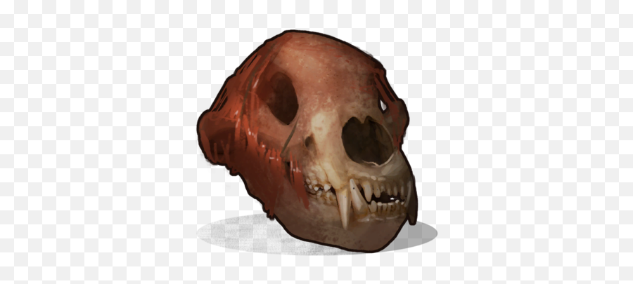Bear Skull Rust Wiki Fandom - Skull Png,Skull Icon Png