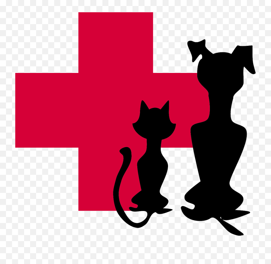 Veterinarian Clipart - Transparent Dog And Cat Silhouette Vivekananda Rock Memorial Png,Cat Silhouette Png