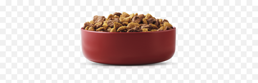 Chicken U0026 Rice Formula Natural Adult Dog Food Purina Latam - Breakfast Cereal Png,Food Plate Png