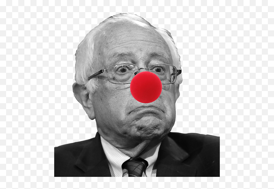 2020 Democratic Circus - Bernie Sanders Ugly Face Png,Bernie Png