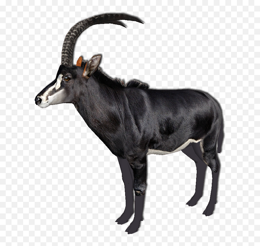 Download Hd Giant Sable Antelope - Zoo Tycoon Transparent Sable Antelope Png,Sable Png