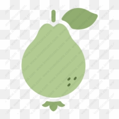 Download Guava Vector Icon Inventicons - Illustration Png,Guava Png
