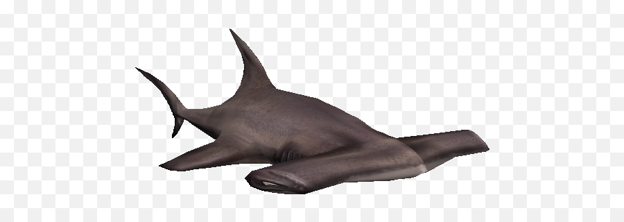 Hammerhead Shark Impossible Creatures Game Wiki Fandom - Requiem Shark Png,Hammerhead Shark Png