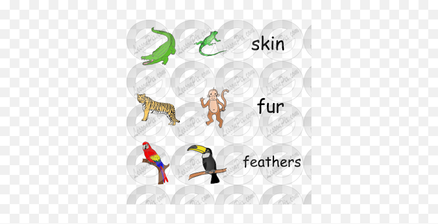 Jungle Animals Picture For Classroom Therapy Use - Great Day Clip Art Png,Jungle Animals Png