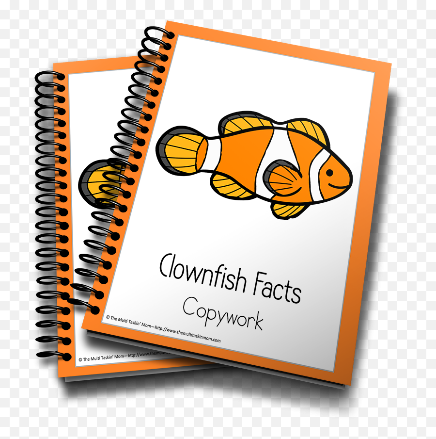 Clownfish Color And Copywork - The Multi Taskinu0027 Mom Printed Notebooks Png,Clownfish Png