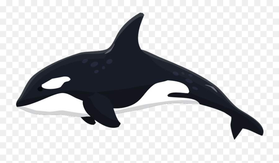 orca clipart