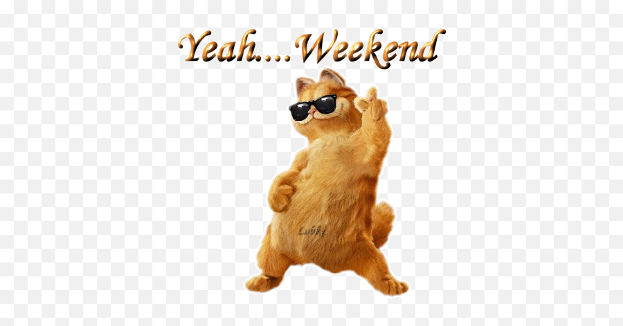 Dancing Cat Weekend Animated Picture - Weekend Gif Animated Png,Dancing Cat Gif Transparent
