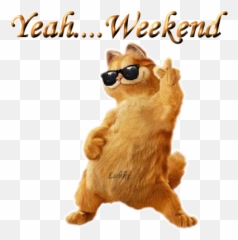 Dancing Cat Weekend Animated Picture - Gif png