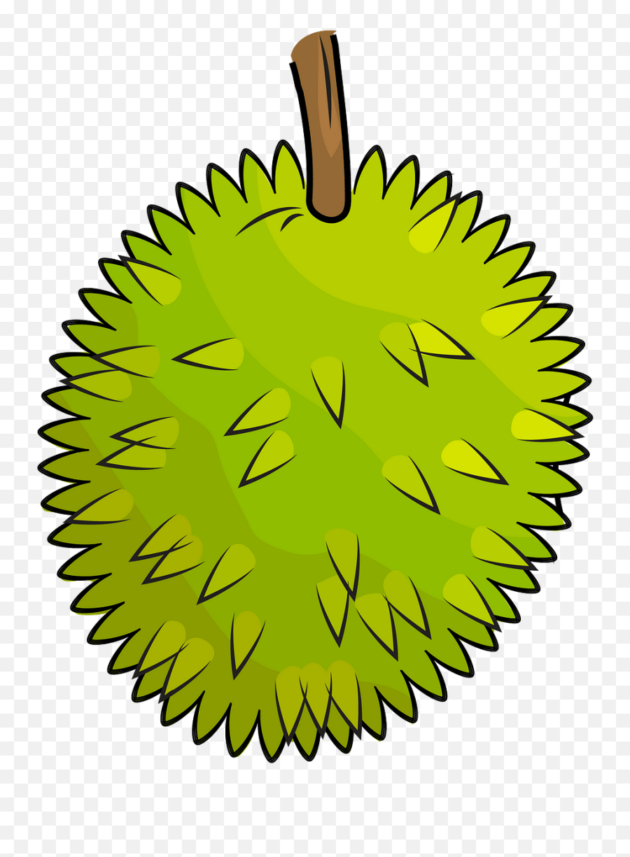 Durian Cliparts Download Free Clip Art - Durian Images Clip Art Png,Durian Png
