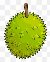 Durian Cliparts Download Free Clip Art - Durian Images Clip Art Png,Durian Png