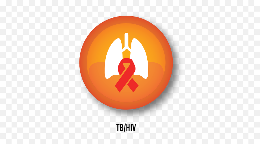 Welcome To South Strengthening Comprehensive - Hiv And Tb Icon Png,Aids Icon