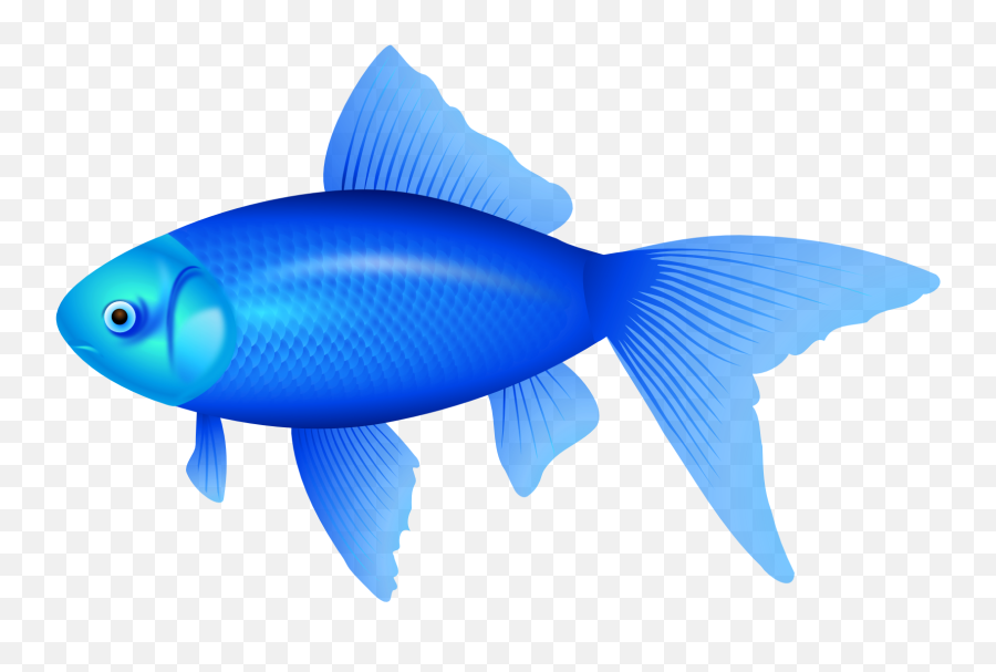 Library Of Fish Clipart Free Stock - Blue Fish Clipart Png,Fish Clipart Transparent