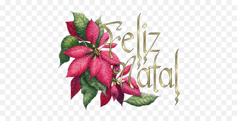 Feliz Natal Poinsettia Sticker - Feliz Natal Poinsettia Pink Poinsettia Transparent Background Png,Poinsettia Icon