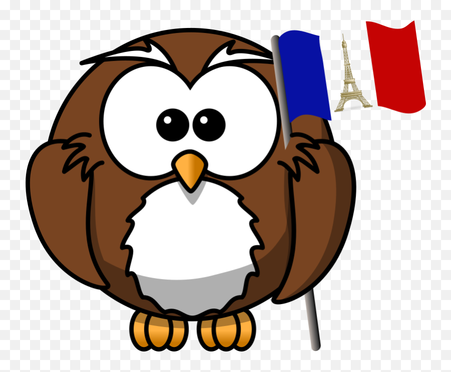Download Free Png Owl With French Flag - Dlpngcom Owl Cartoon,French Flag Png
