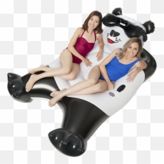 Giant Panda Bear Inflatable Pool Float Holds Up To 300 Lbs Ebay - Inflatable Png,Pool Float Png