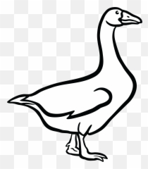 Library Of Black And White Goose - Goose Black And White Png,Goose Transparent