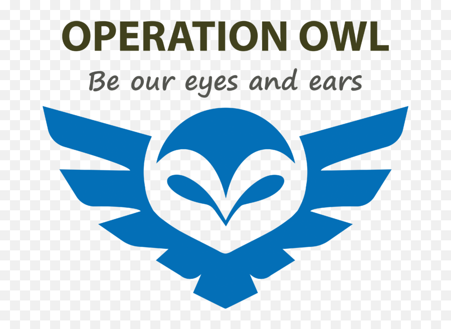 Alan Stewart - Park Png,Owl Eyes Logo