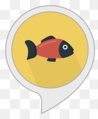 Amazoncom Name My Fish Alexa Skills Png