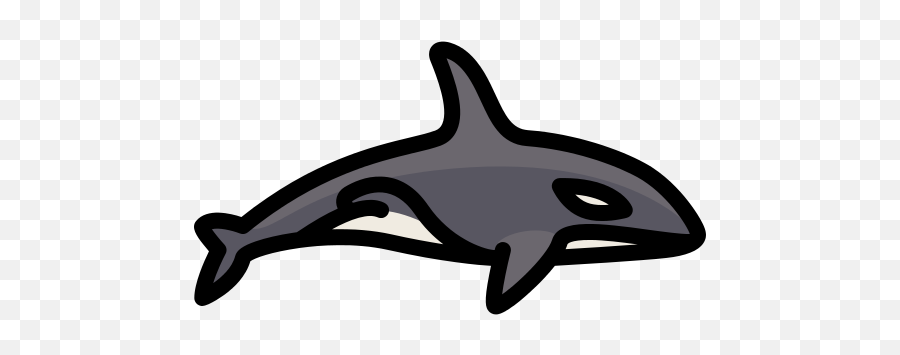 Orca Png Icon - Killer Whale,Orca Png