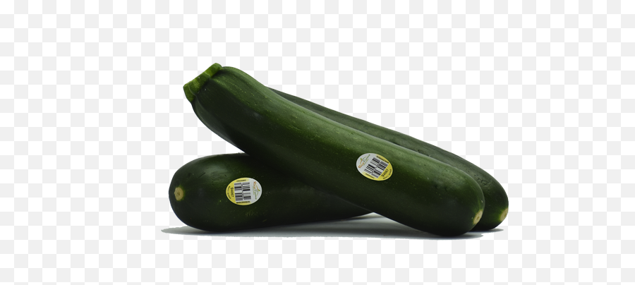 Summer Squash U2013 Rico Farms - Zucchini Png,Zucchini Png