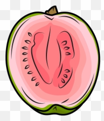 Half Guava Clipart Free Download Transparent Png Creazilla - Dibujo De Una Guayaba,Guava Png