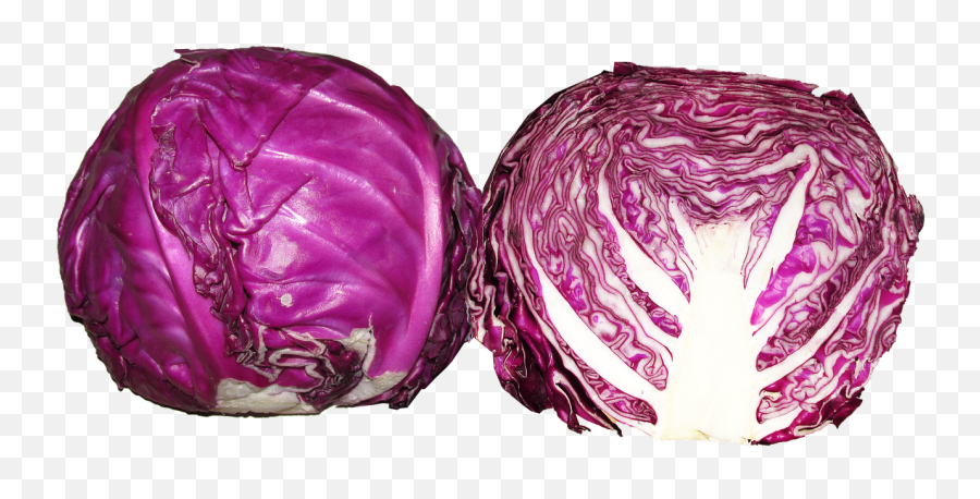 Vegetable Red Cabbage Food Healthy Cooking - Free Image Cabbage Red Head Png,Cabbage Transparent Background
